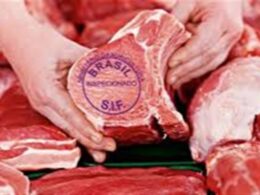 Mato Grosso exporta 370 mil toneladas de carne bovina, impulsionando setor
