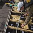 Meia tonelada de cocaína é encontrada em compartimento oculto de caminhão frigorífico