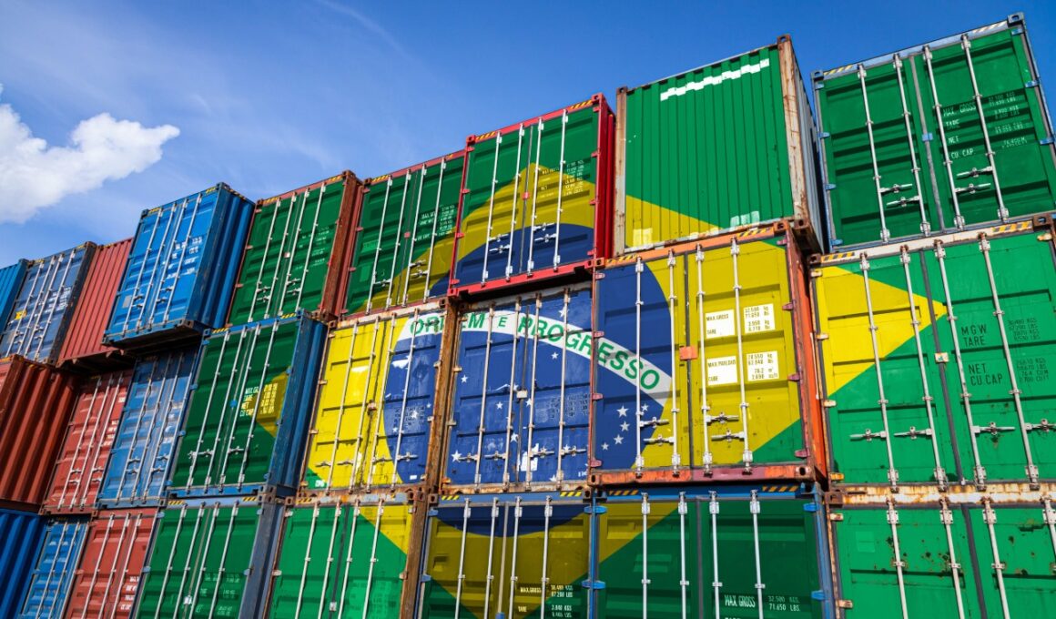 Milhões em Alta: Como a Pecuária Está Transformando as Exportações do Agro em Santa Catarina em 2024!
