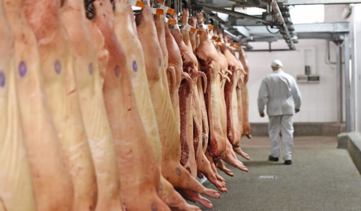 Minas Gerais: Queda Surpreendente nos Preços da Carne Suína Manobra o Mercado e Atraí Gourmet em Julho!