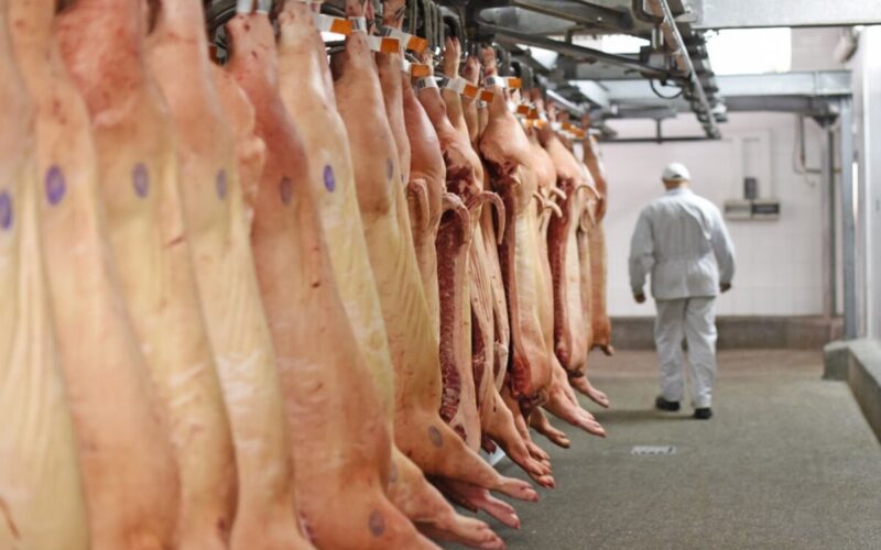 Minas Gerais: Queda Surpreendente nos Preços da Carne Suína Manobra o Mercado e Atraí Gourmet em Julho!