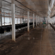 Montenegro (RS) Inicia Vazio Sanitário: O Que Isso Significa para a Saúde Pública e a Agricultura Local?