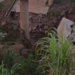 Motorista morre após caminhão frigorífico cair em ribanceira na BR-116, em Minas Gerais