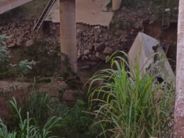Motorista morre após caminhão frigorífico cair em ribanceira na BR-116, em Minas Gerais