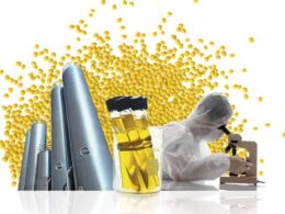 Mytex Polymers: Revolução nos Poliolefinas e os Novos Rumos da Indústria! Prepare-se para a Expansão Surpreendente!