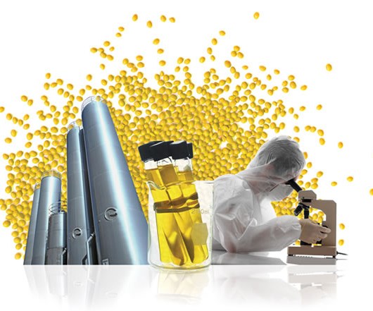 Mytex Polymers: Revolução nos Poliolefinas e os Novos Rumos da Indústria! Prepare-se para a Expansão Surpreendente!