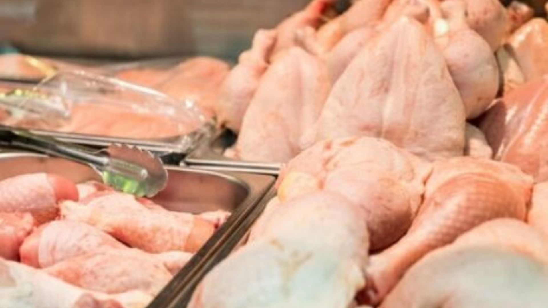 O Estado do Paraná se sobressai nas exportações de carne de frango e carne suína