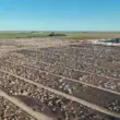 Oeste da Bahia: plano de R$ 1,2 bilhão turbina exportação de carnes