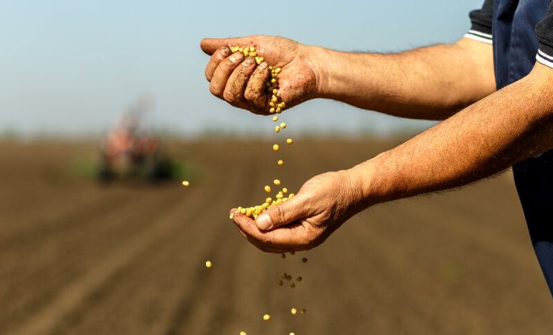 Operação épica: 1.400 toneladas de sementes ilegais somem do mercado e transformam a agricultura!