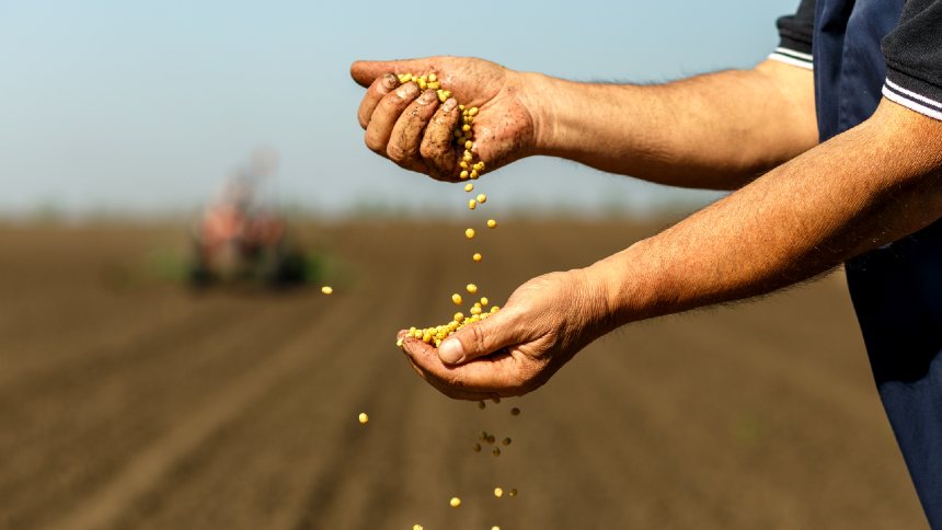 Operação épica: 1.400 toneladas de sementes ilegais somem do mercado e transformam a agricultura!