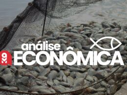 Os Segredos da Aquicultura: Como Lucrar Mesmo com Oscilações de Preços!