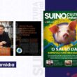 Paraná em foco: o plano de Marcio Nunes para turbinar o agronegócio e liderar na suinocultura