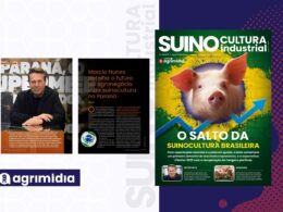 Paraná em foco: o plano de Marcio Nunes para turbinar o agronegócio e liderar na suinocultura