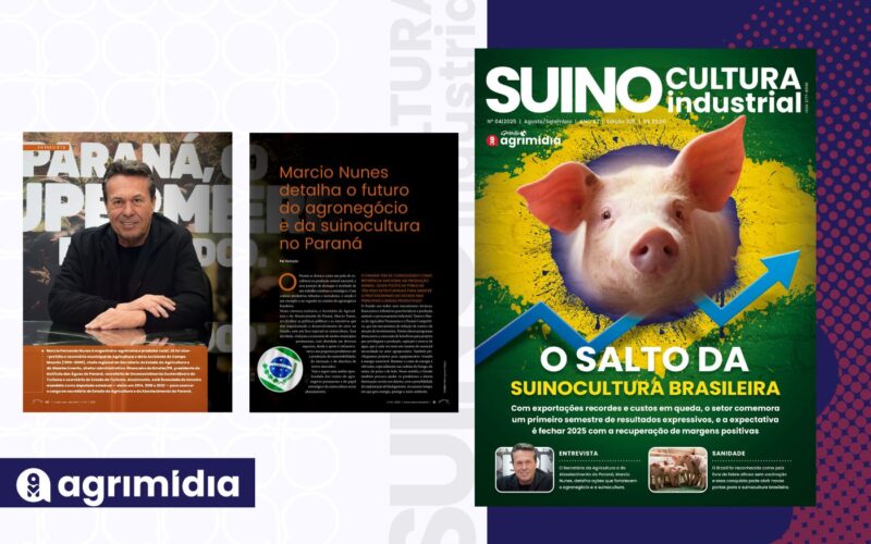 Paraná em foco: o plano de Marcio Nunes para turbinar o agronegócio e liderar na suinocultura