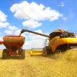 Como vencer os altos custos e garantir a rentabilidade no agronegócio brasileiro: estratégias que funcionam!