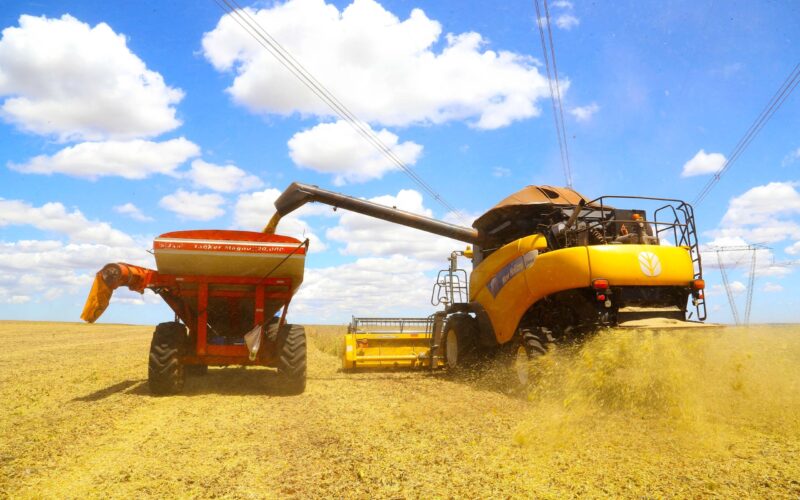 Como vencer os altos custos e garantir a rentabilidade no agronegócio brasileiro: estratégias que funcionam!