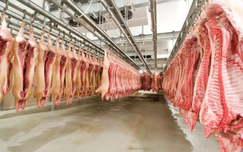 Paraná: O Reino das Proteínas Animais! Como a Inovação em Frangos e Suínos Conquista o Mercado Global