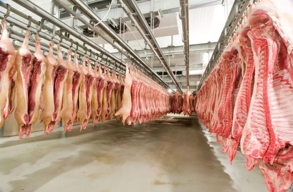 Paraná: O Reino das Proteínas Animais! Como a Inovação em Frangos e Suínos Conquista o Mercado Global Paraná: O Reino das Proteínas Animais! Como a Inovação em Frangos e Suínos Conquista o Mercado Global