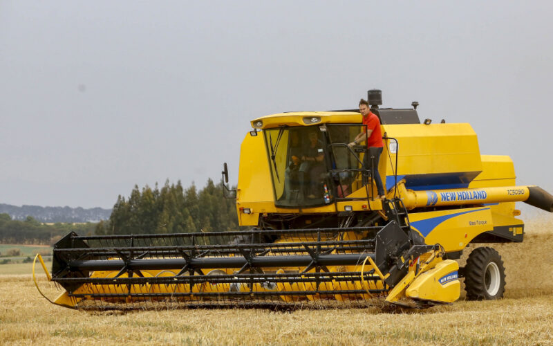 Paraná puxa a fila no agro: salários 58% acima da média nacional — oportunidades e ganhos em alta