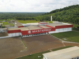 Passaporte do boi: Masterboi aposta na rastreabilidade para ganhar espaço no mercado internacional