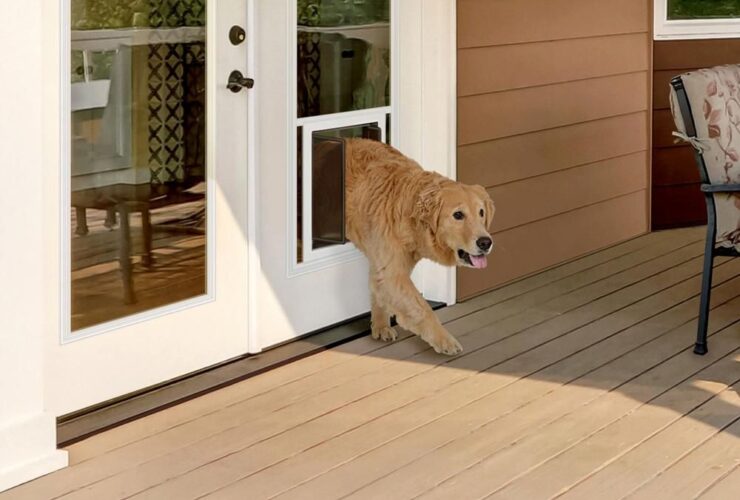 PET DOORS USA, PlexiDor Dog Door 24 pol. x 66 pol. Inserção de vidro LoE para portas francesas de 32 pol. x 34 pol. e 36 pol. x 80 pol.