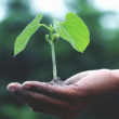 Plásticos que Renascem: A Revolução Circular que Está Transformando Nosso Futuro Sustentável!