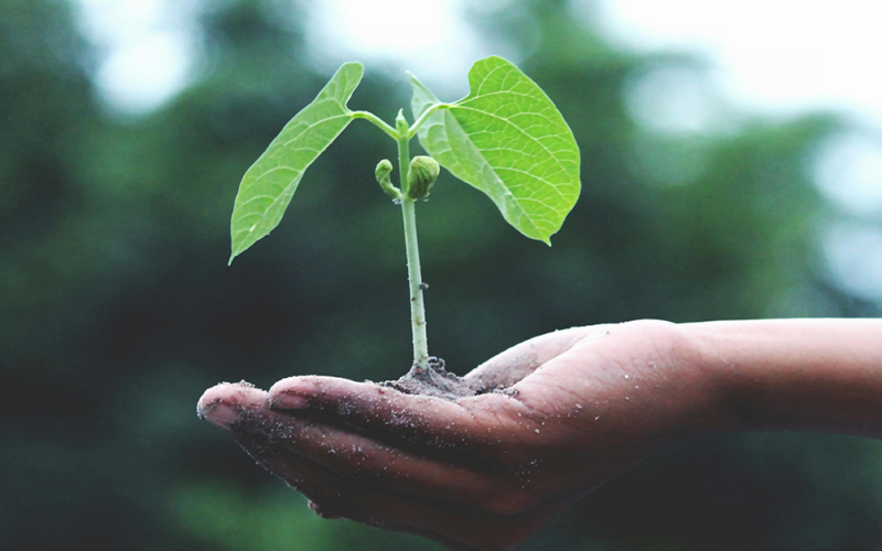 Plásticos que Renascem: A Revolução Circular que Está Transformando Nosso Futuro Sustentável!