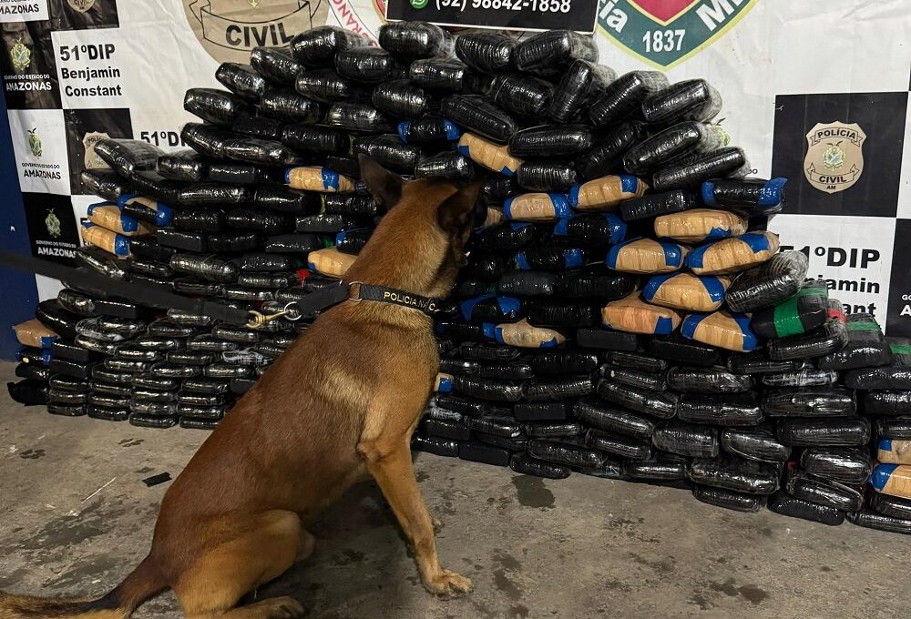 Polícia encontra 245 kg de drogas escondidas em frigorífico de barco