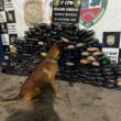 Polícia encontra 245 kg de drogas escondidas em frigorífico de barco