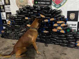 Polícia encontra 245 kg de drogas escondidas em frigorífico de barco