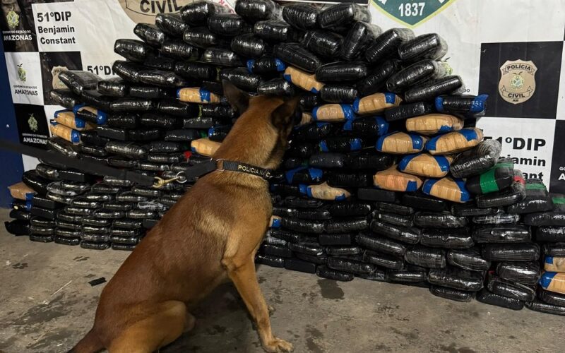 Polícia encontra 245 kg de drogas escondidas em frigorífico de barco