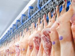 Por que a Carne Suína Canadense Enfrenta Desafios Formidáveis na China? Explore os Conflitos e Oportunidades!