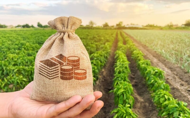Por trás da queda: O que os 6,7% a menos no faturamento das cooperativas do PR revelam sobre o futuro do agronegócio?