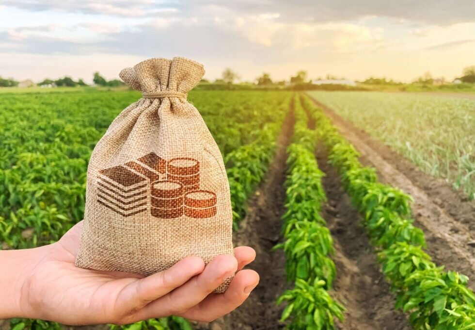 Por trás da queda: O que os 6,7% a menos no faturamento das cooperativas do PR revelam sobre o futuro do agronegócio?