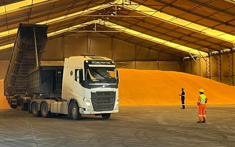 Porto do Açu liga Mato Grosso ao mundo: milho não transgênico com preço premium e logística eficiente