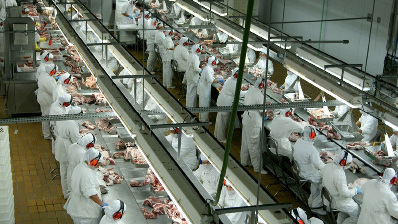 Preço do frango vivo alcança maior valor real desde 2022, segundo dados do setor agropecuário