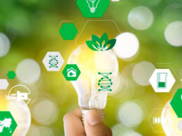 Prepare-se para 2025: As 7 Revoluções Sustentáveis que Transformarão o Seu Mundo!