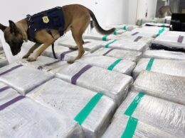 PRF apreende 3 toneladas de maconha em caminhão frigorífico no Rio de Janeiro