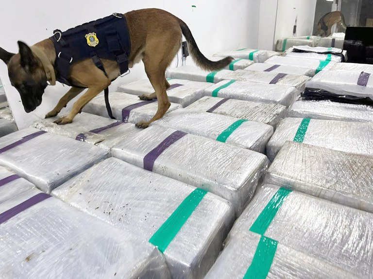 PRF apreende 3 toneladas de maconha em caminhão frigorífico no Rio de Janeiro