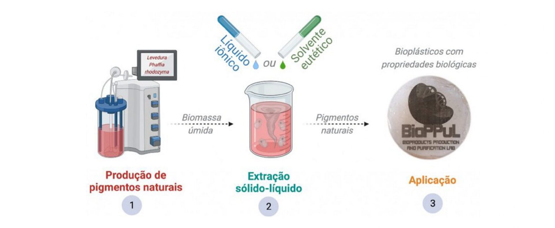 Produção de plásticos biodegradáveis com solvente sustentável.