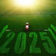 Projeções 2025: Como o ‘Efeito Trump’ e a ‘Proteção Divina’ Moldam o Futuro do Agro Brasileiro