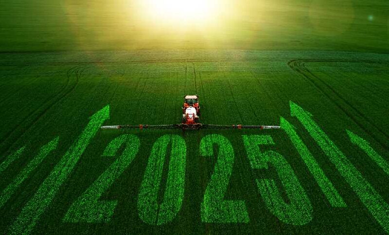 Projeções 2025: Como o ‘Efeito Trump’ e a ‘Proteção Divina’ Moldam o Futuro do Agro Brasileiro