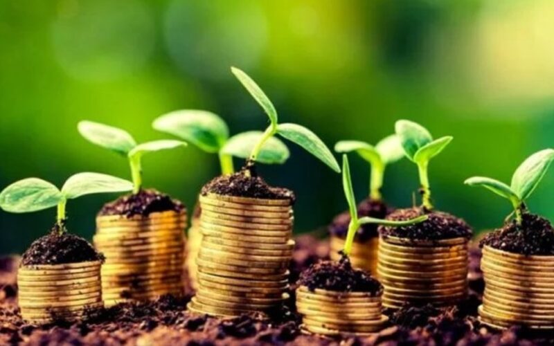 R$ 4 Bilhões a Mais: O Potencial Revolucionário do Agronegócio Paulista que Você Não Pode Ignorar!
