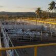 Ramax compra frigoríficos em Goiás e SP e retoma produção de carne