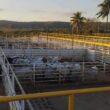 Ramax-Group expande frigoríficos para SP e Goiás