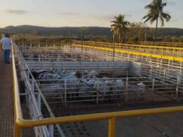 Ramax-Group expande frigoríficos para SP e Goiás