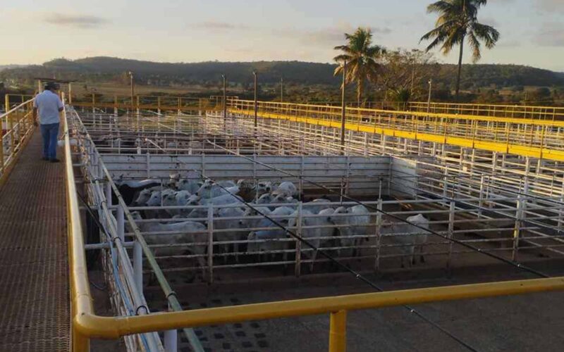 Ramax-Group expande frigoríficos para SP e Goiás
