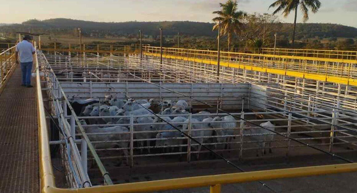 Ramax-Group expande produção e abre dois novos frigoríficos no país