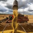 Recorde de Soja à Vista: Abiove Revela Expectativa de Safra Surpreendente com 171,7 Milhões de Toneladas