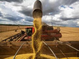 Recorde de Soja à Vista: Abiove Revela Expectativa de Safra Surpreendente com 171,7 Milhões de Toneladas